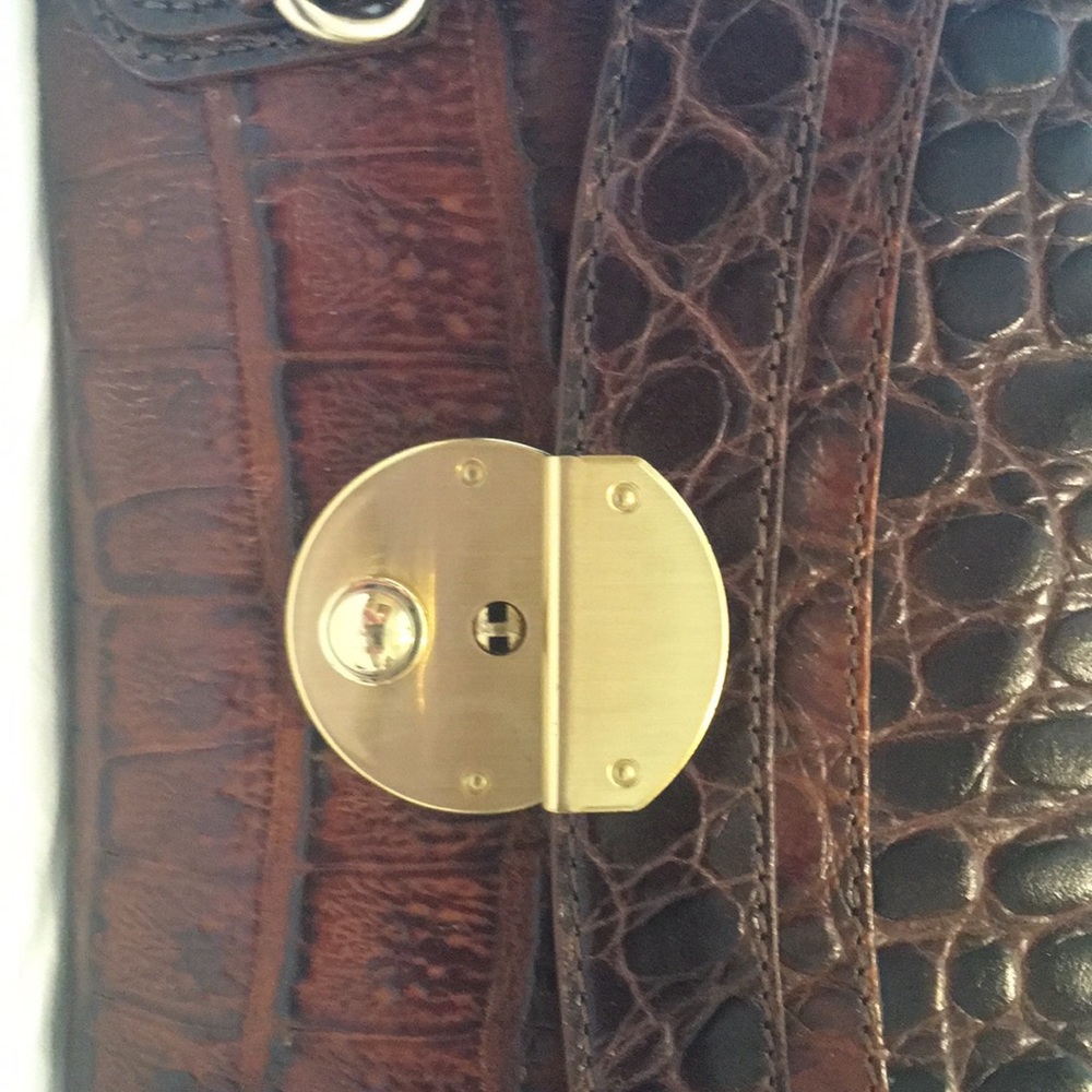 Authentic Brahmin purse, with dust cover